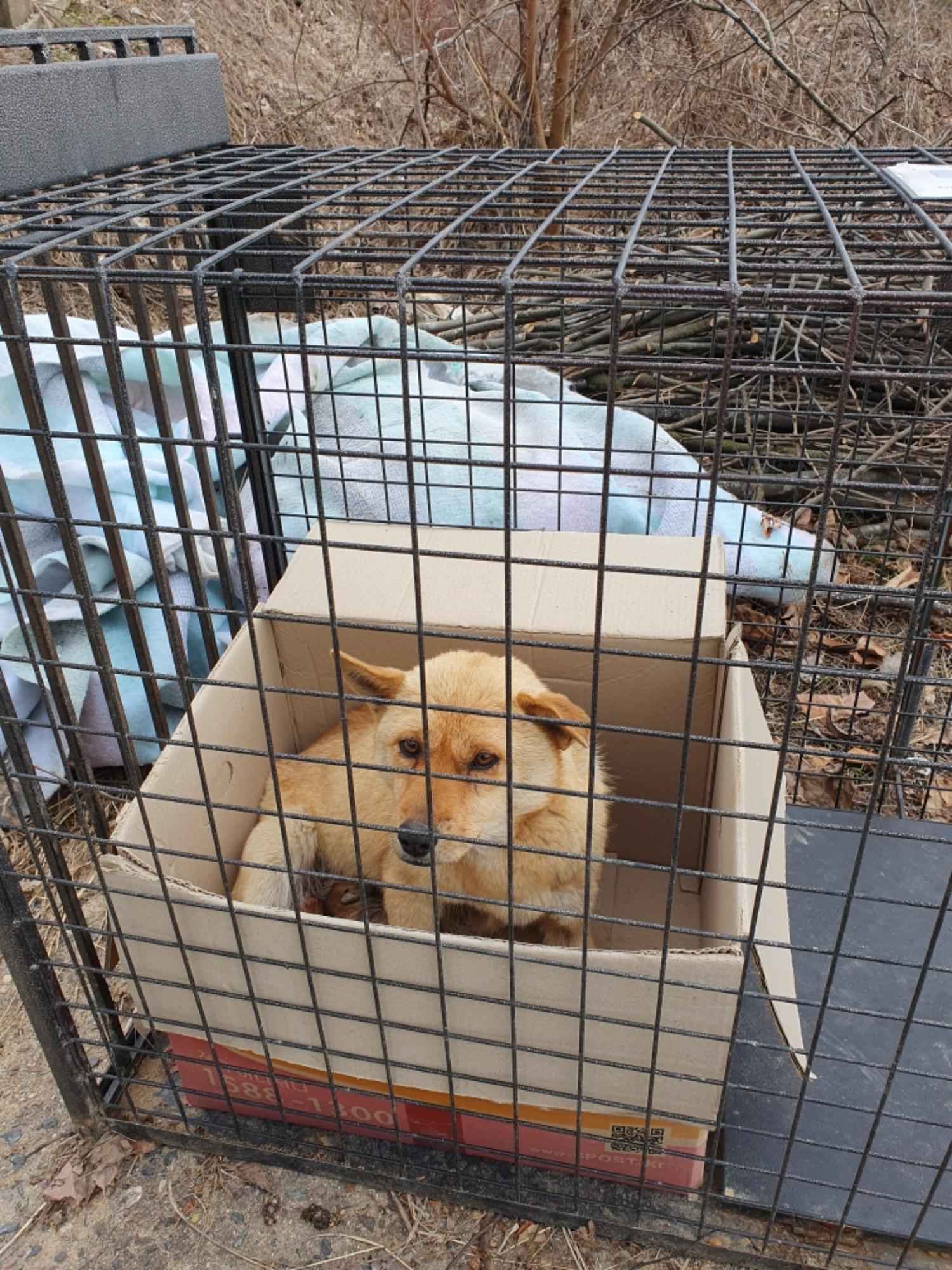최종주동물병원_443444202400035
